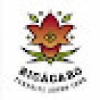 Bicácaro Tenerife AdvenTour