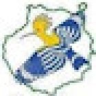 Canarias Excursions Tours - Buggy Tour - Quad Tour - Jeep Tour - Segway Trip, E-bike Tours, E-Scooter Tours in Playa Ingles