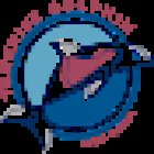 Royal Delfín Catamarán visión submarina NOSTRAMO, S.L. - Oficina Norte