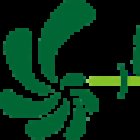 Quijote Ocio - Animación & Ocio Educativo