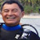 Vinesia Tours & Travel