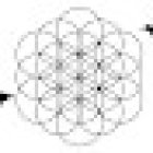 Rianne Sportel / Dolfijnreizen & meer