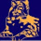 Snow Leopard Adventures