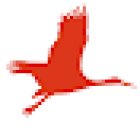 Viagens Turiossónoba