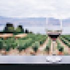 Wine Tourism in Portugal - Tour Agency