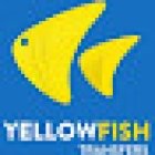 Yellowfish Transfers