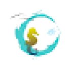 Passeios Ria Formosa-Stª Luzia