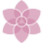 Ayurveda & Yoga Travel