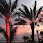 Reisebüro Dan Tours