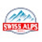 سائق و مرشد عربي في سويسرا