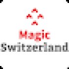 Magic Travel Services GmbH