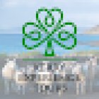 Kerry Experience Tours