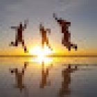 White & Green International travel