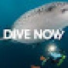 Dive Now