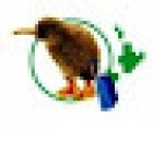 ECO TRAVELS PAPATOETOE