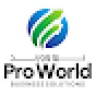 Pro World Business Solutions