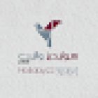 Holidayzz Wallet Travels