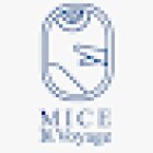 MICE Levoyage Travel & Tourism LLC