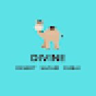 Divine Desert Safari Dubai