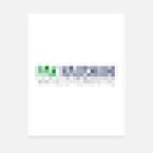 PAK NAUSHAHI TRAVEL AND TOURISM FZC