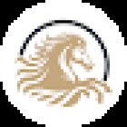 DESERT KNIGHT TOURISM LLC