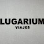 Lugarium Viajes
