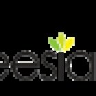 Freesia Travel Tours and Air Tickets