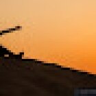 Abu Dhabi Dhow and yacht rental