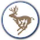 DHABI TRAVEL & TOURISM