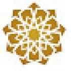 ARABIAN STAR TOURS LLC