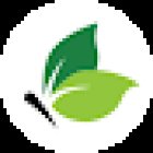 Springwale Travel & Tourism