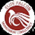 Elite Falcon visa Consultant Dubai