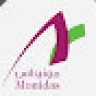 MONIDAS TOURISM & TRAVELS LLC