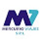 Mercurio Viajes SRL