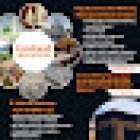 United Hajj Umrah UK