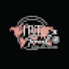 JRT Travel with Lisa