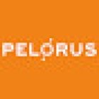 Pelorus