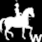 White horse lifestyle management