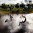 In The Saddle | Holidays on Horseback