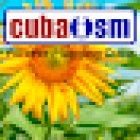 Cubaism Ltd
