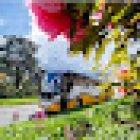 Johnsons Coach Travel