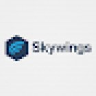 SkyWings Travel
