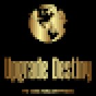 Upgrade Destiny Ltd