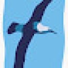 Region X Kayak and Camping Experiences and Equipment Hire