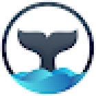 Whale Watching Sydney