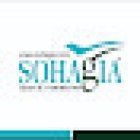 SOHAGIA TOURS AND TRAVELS INC