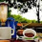 TravelOnly Denise Taylor