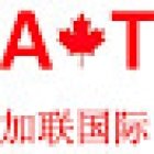 Aright International Travel 加联国际旅行社