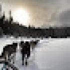 Kingmik Dog Sled Tours