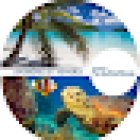 Voyages Fontainebleau